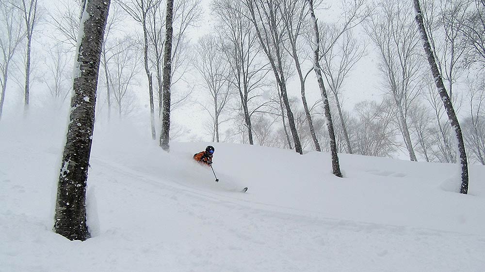 the trees are spaced out for the best tree skiing in japan
